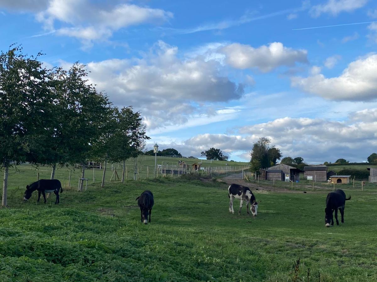 Fairview Farm Holiday Accommodation 14 Luxury Lodges, Cabins, Dog Friendly, Suitable For Couples, Families And Groups, Wedding Guests , Corporate Events, Sleeps 2-65 Guests In Ravenshead, Nottingham Near Sherwood Forest, Set In 88 Acres Extérieur photo
