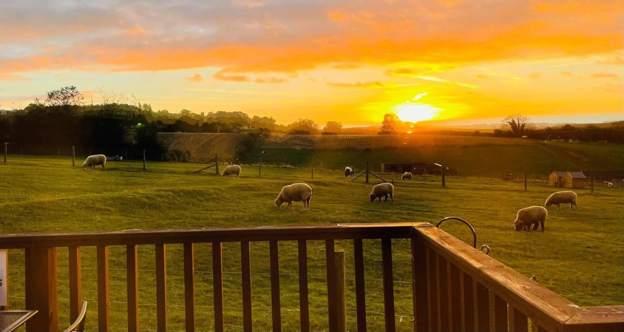 Fairview Farm Holiday Accommodation 14 Luxury Lodges, Cabins, Dog Friendly, Suitable For Couples, Families And Groups, Wedding Guests , Corporate Events, Sleeps 2-65 Guests In Ravenshead, Nottingham Near Sherwood Forest, Set In 88 Acres Extérieur photo
