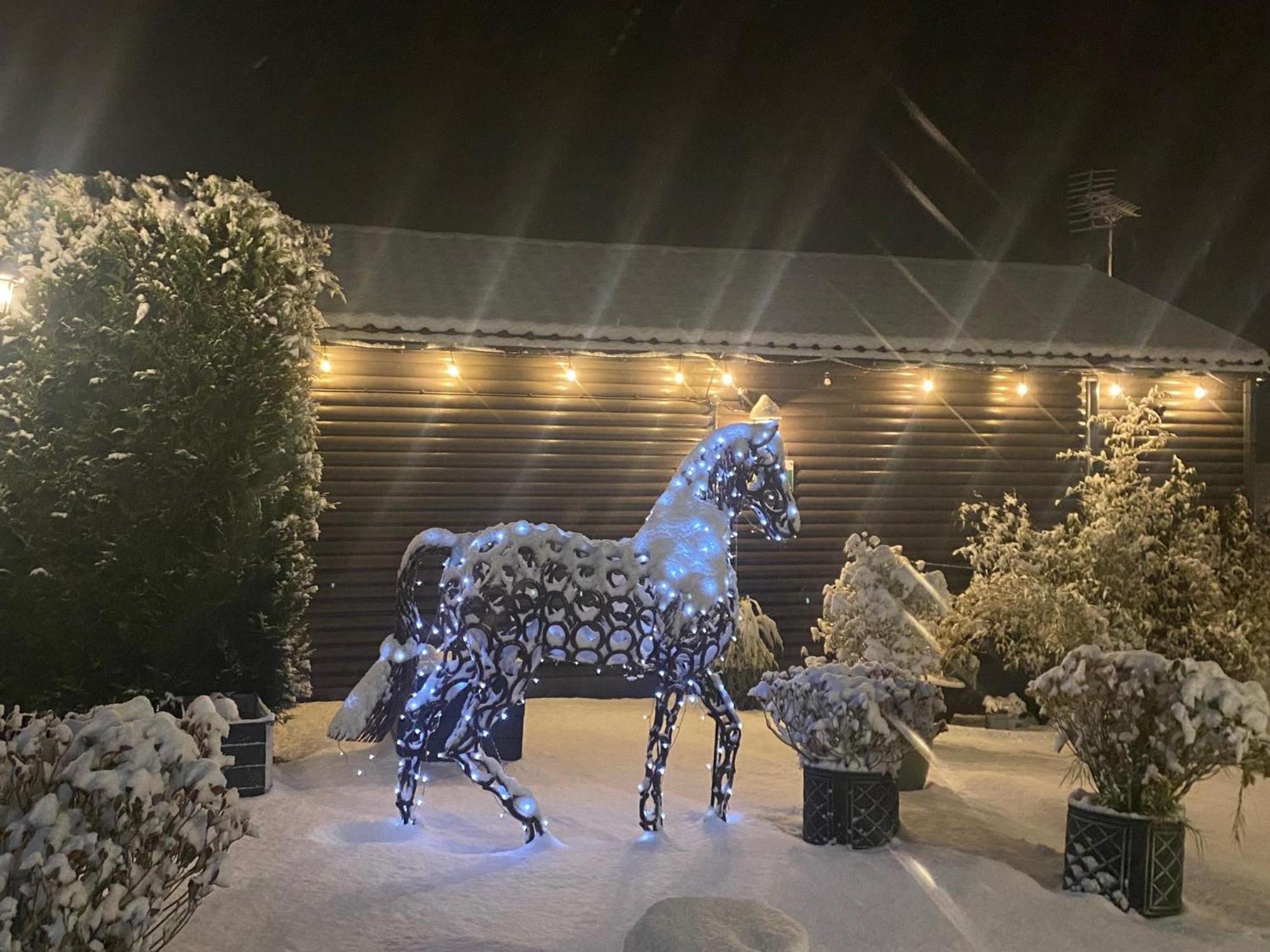 Fairview Farm Holiday Accommodation 14 Luxury Lodges, Cabins, Dog Friendly, Suitable For Couples, Families And Groups, Wedding Guests , Corporate Events, Sleeps 2-65 Guests In Ravenshead, Nottingham Near Sherwood Forest, Set In 88 Acres Extérieur photo