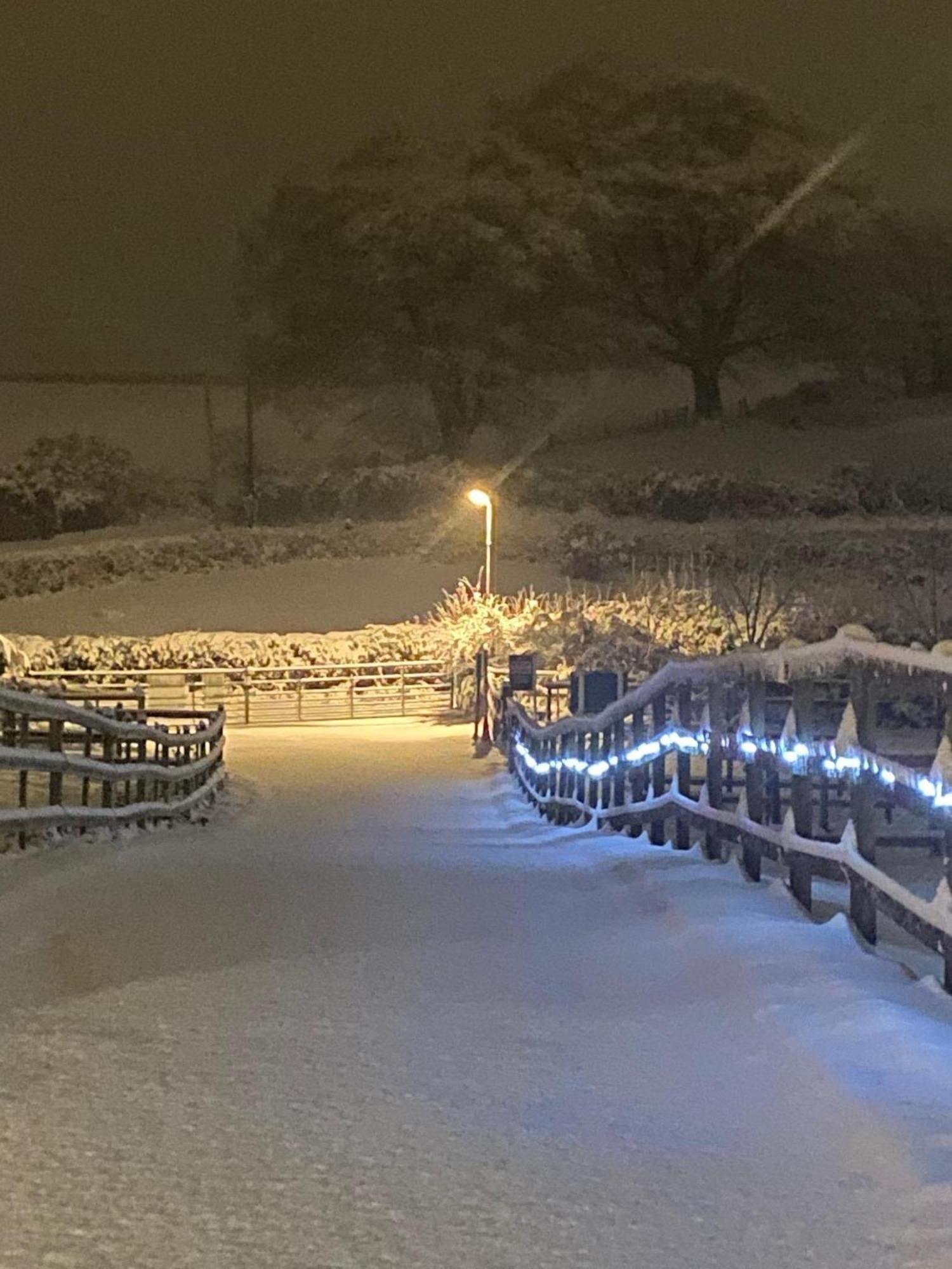Fairview Farm Holiday Accommodation 14 Luxury Lodges, Cabins, Dog Friendly, Suitable For Couples, Families And Groups, Wedding Guests , Corporate Events, Sleeps 2-65 Guests In Ravenshead, Nottingham Near Sherwood Forest, Set In 88 Acres Extérieur photo